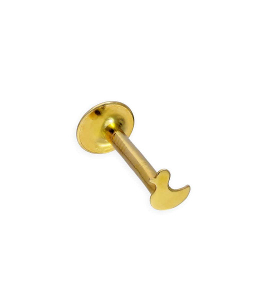 AB-9437_9nm_Gild_Duck_Helix_Labret_Piercing